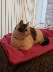 Heute FB_IMG_1558986016051